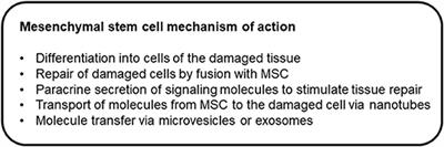 The Potential of Mesenchymal Stem Cells to Treat Systemic Inflammation in Horses